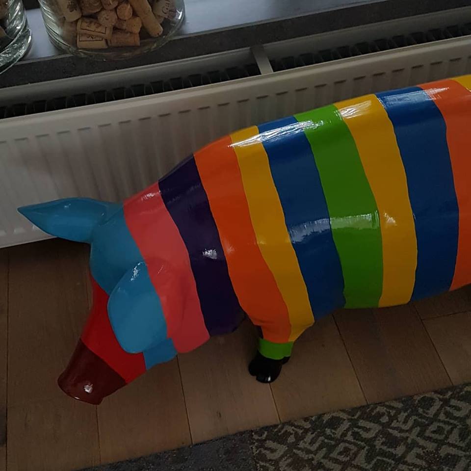 FixZoklus — Foto’s 6